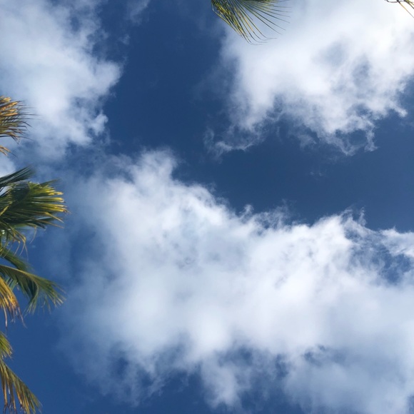 Meet your Posher, Ying - Picture 1 of 1